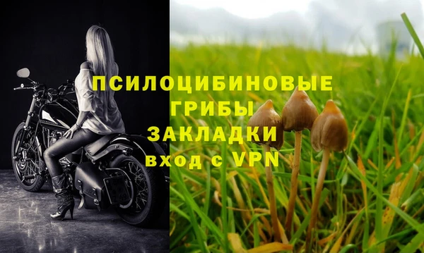 молекула духа Алексеевка