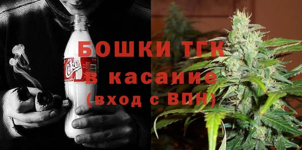 молекула духа Алексеевка