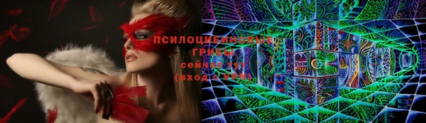 кокс Алзамай