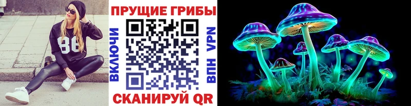 Псилоцибиновые грибы Magic Shrooms  маркетплейс наркотические препараты  Сельцо 