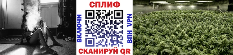 даркнет состав  Сельцо  Каннабис SATIVA & INDICA 